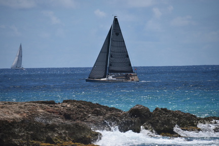D82 4973