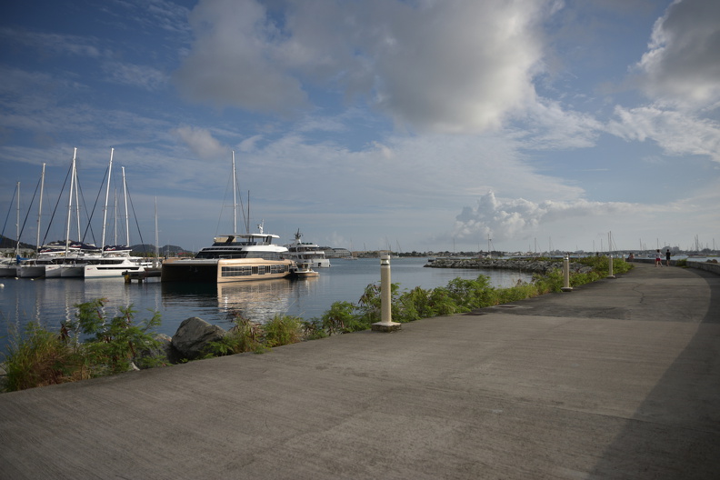 FAL_9212_resized.JPG