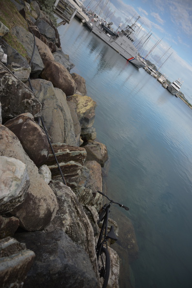FAL_9526_resized.JPG