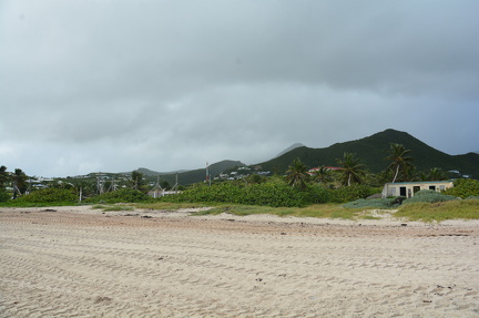 DSC 0257