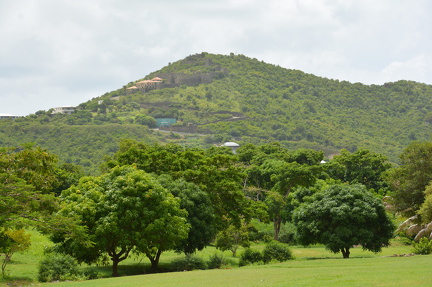 DSC 0425