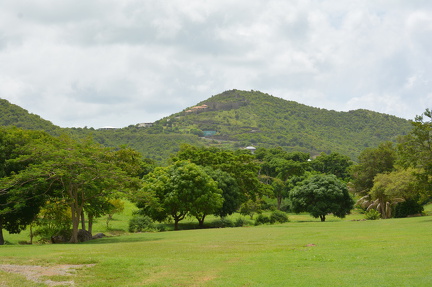 DSC 0424
