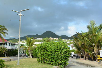 DSC 0524