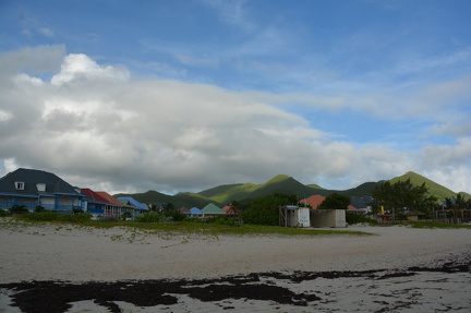 DSC 0514
