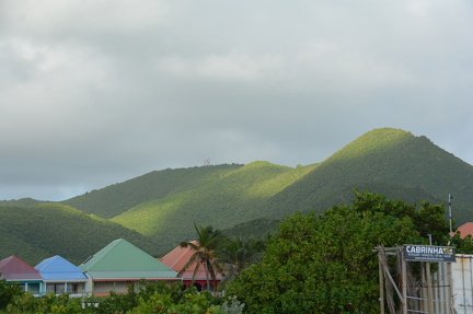 DSC 0515