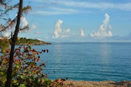 DSC 4548