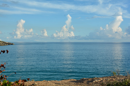 DSC 4547