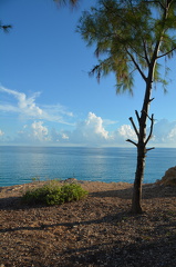 DSC 4433