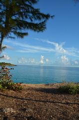 DSC 4432