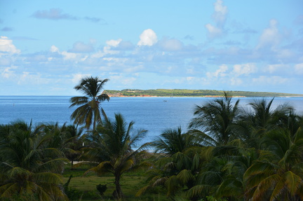 DSC 4359