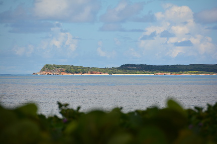 DSC 4305