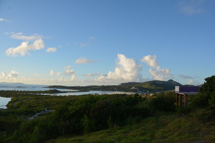 DSC 4145