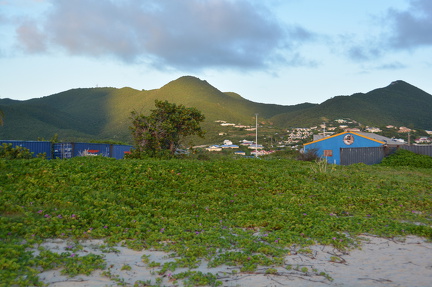 DSC 4133