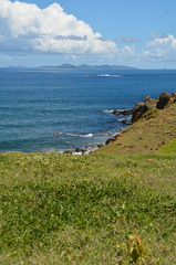DSC 4787
