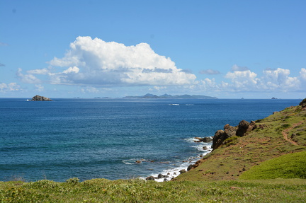 DSC 4785