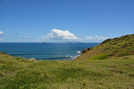DSC 4784