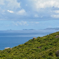 DSC 4782