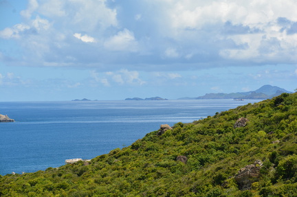 DSC 4782