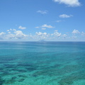 DSC 4687