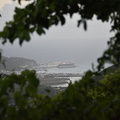  DSC7850