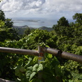  DSC7377