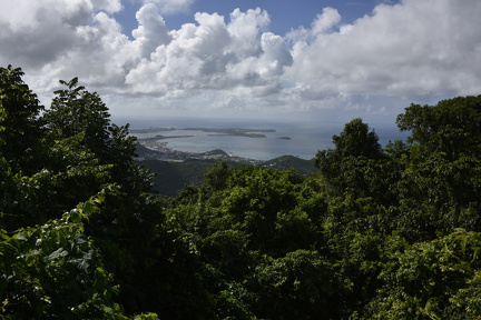  DSC7376