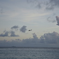  DSC5702