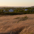 FAL 5117 resized