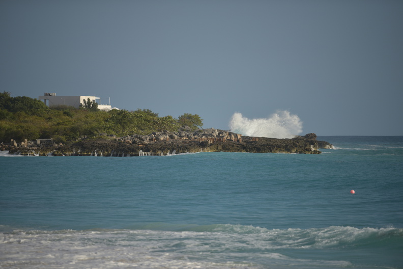 FAL_7960_resized.JPG
