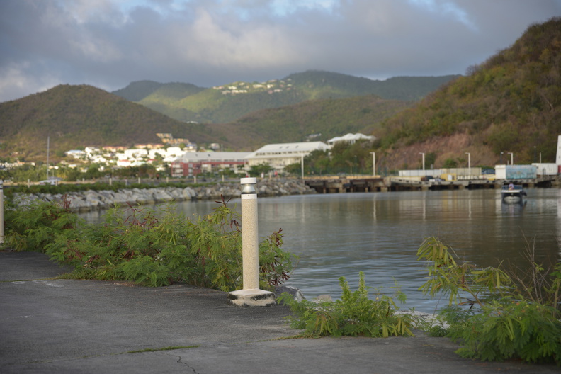FAL_9232_resized.JPG