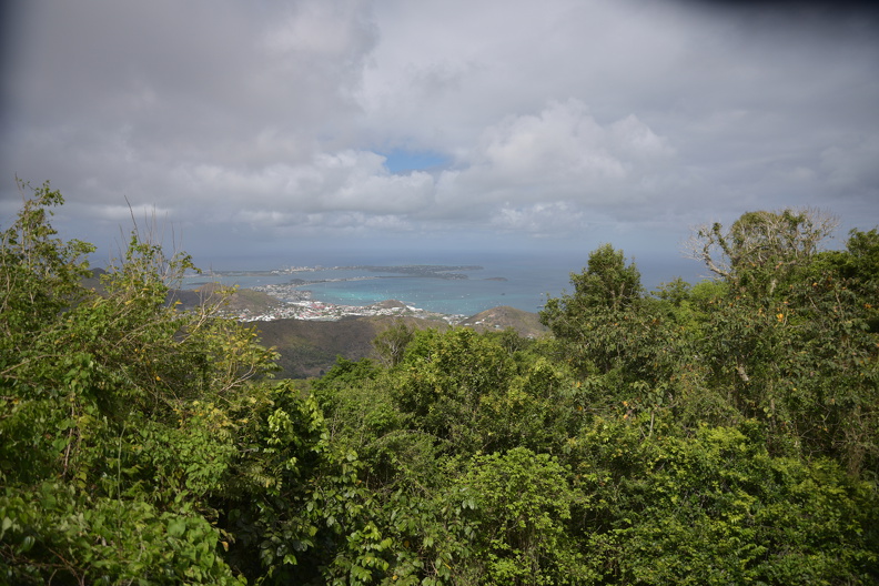 FAL_9084_resized.JPG