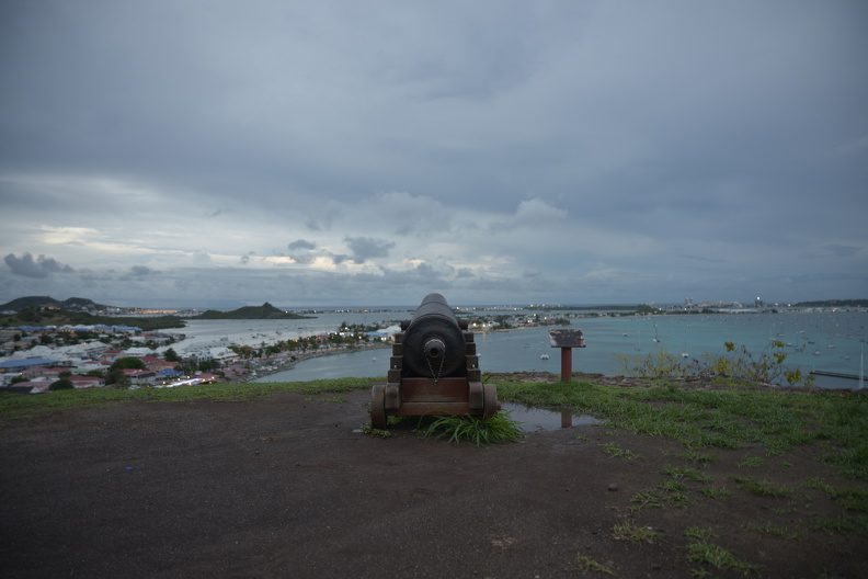 FAL_9359_resized.JPG