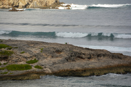 DSC 4860