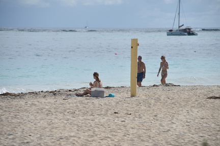 D82 0981