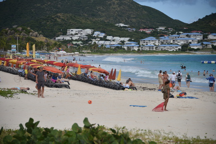 D82 0313
