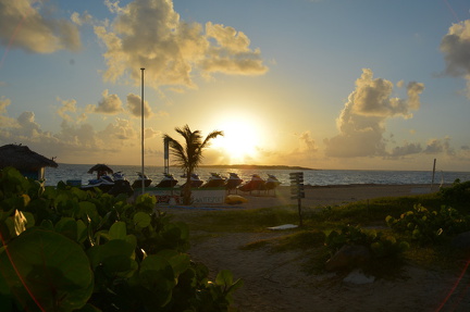 DSC 8563