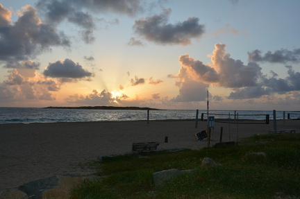 DSC 8556