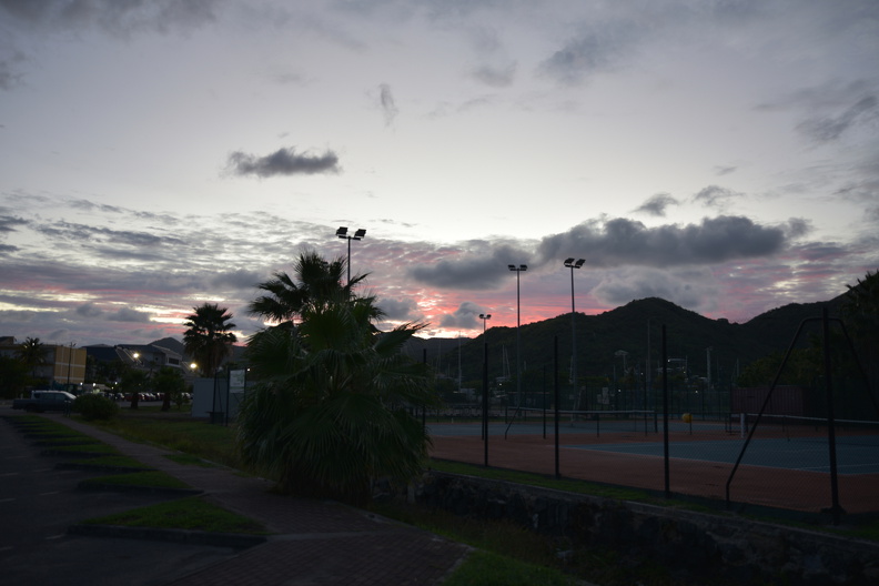 FAL_9474_resized.JPG