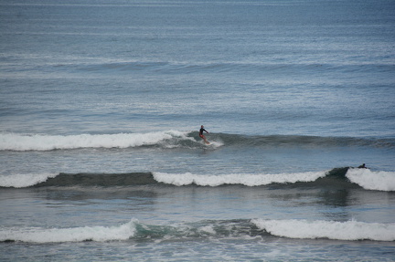 DSC 4891
