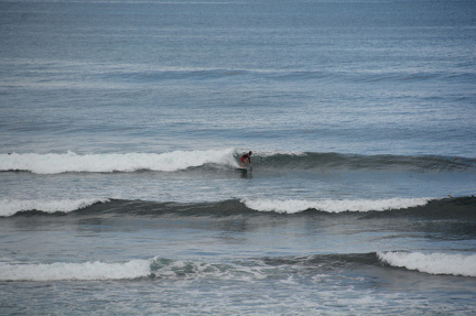 DSC 4890