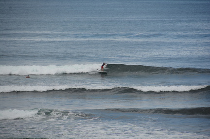 DSC 4887