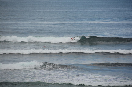 DSC 4885