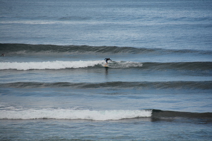DSC 4883