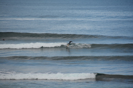 DSC 4882