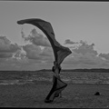 D82 2461 01.resized
