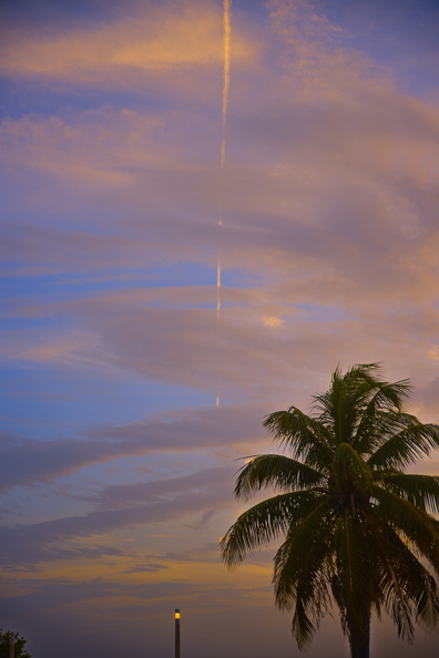 247_2340.resized.jpg
