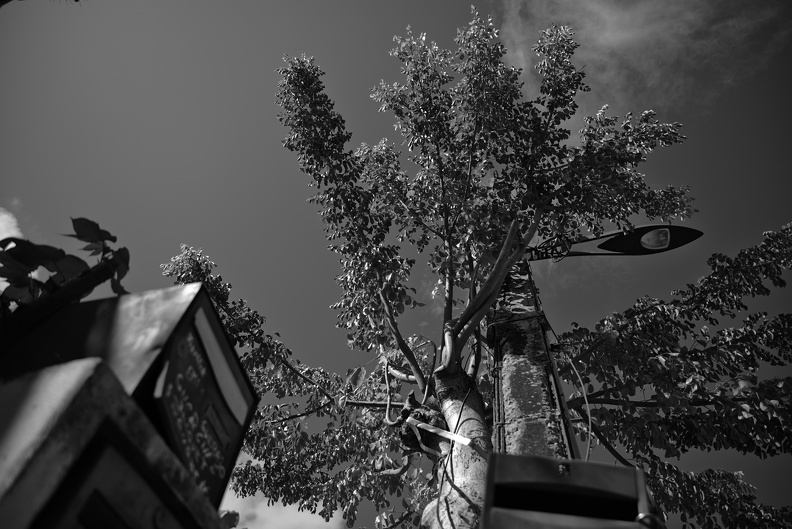 247_2406.resized.jpg
