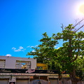 247 2393 01.resized