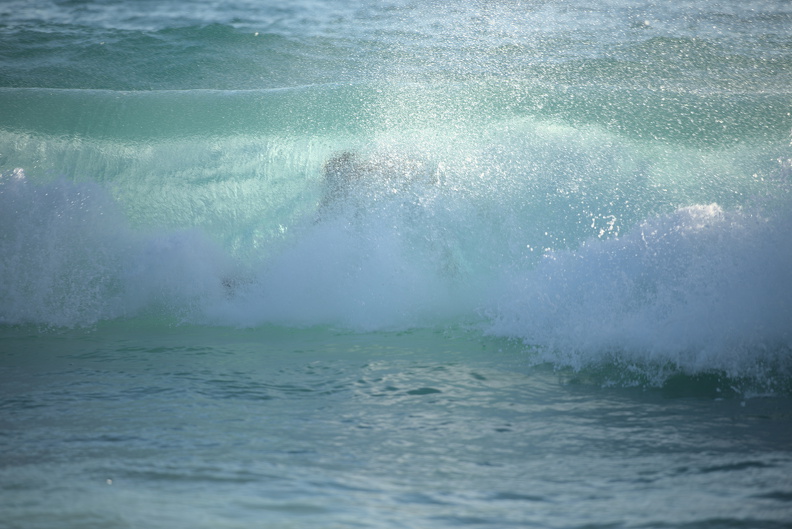 702_6881.resized.jpg