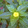 702 7909.resized